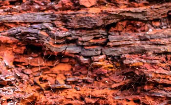 افزایش اندک قیمت سنگ آهن در چین